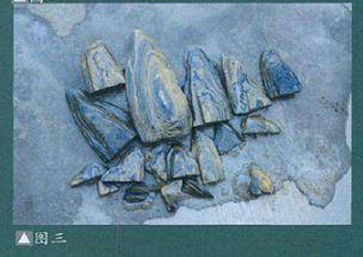 图解 怎么制作山水盆景的5个步骤