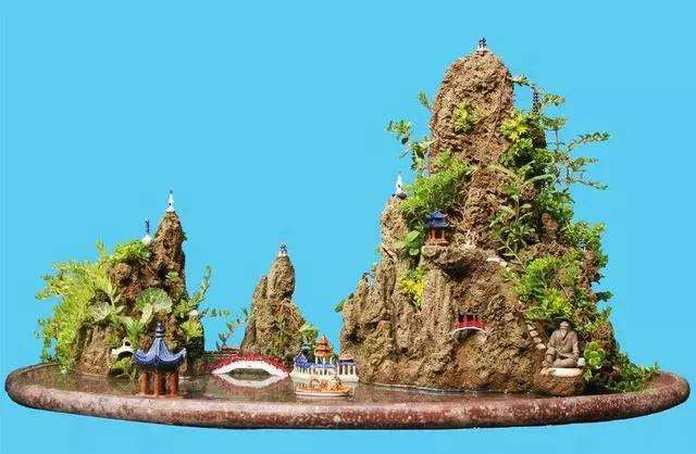 树石盆景怎么铺种苔藓的方法