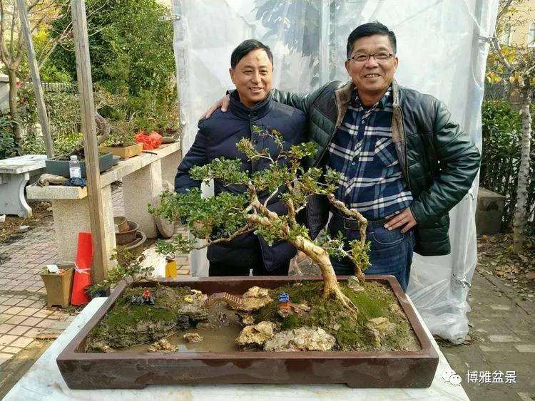 带您走进梁金龙的盆景文化示范园