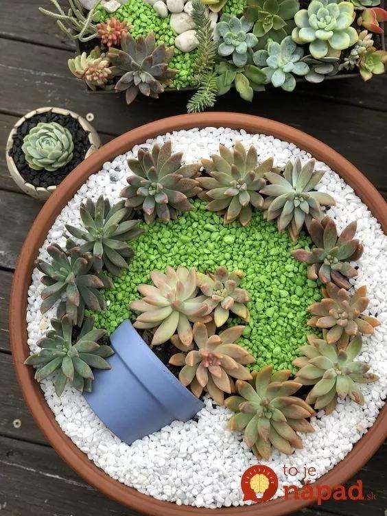 新手也能种出完美的状态