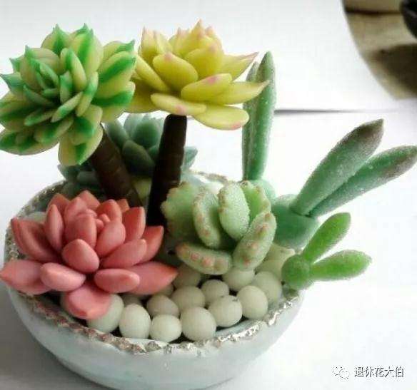 多肉植物长花箭怎么处理的方法