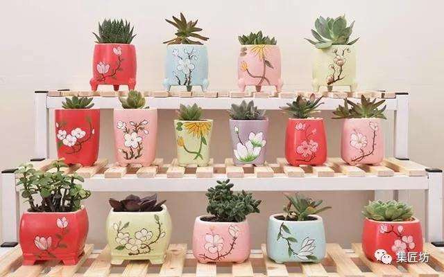 9种多肉盆器