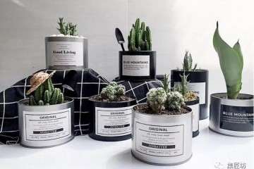 9种多肉盆器 详细评测攻略 图片
