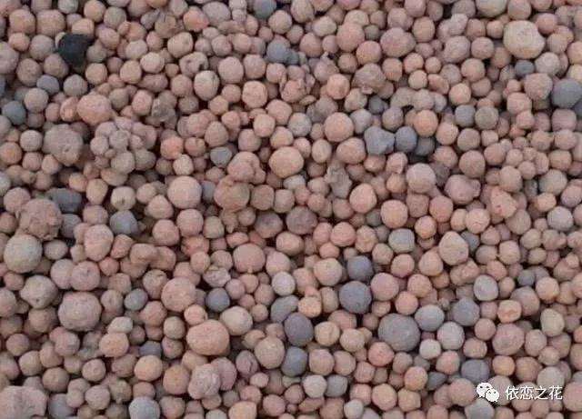 多肉烂根 在土里放这些改善土壤