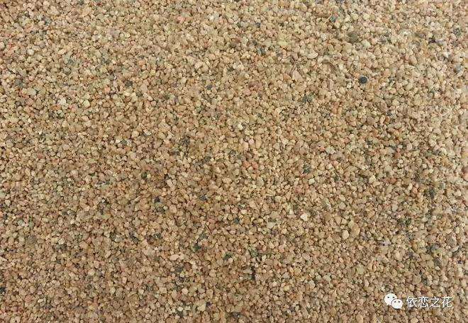 多肉烂根 在土里放这些改善土壤