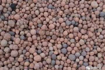 多肉烂根 在土里放这些改善土壤