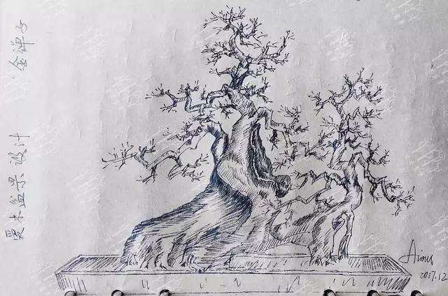 金弹子盆景连体过桥桩材的造型设计图