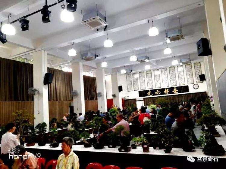 刘传刚大师新加坡盆景示范表演