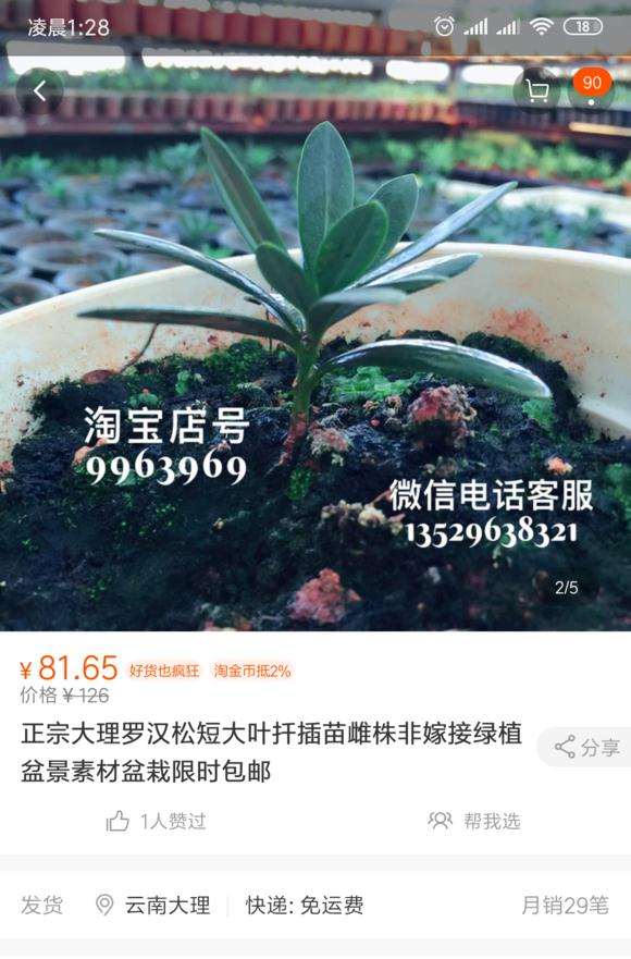 这家淘宝店卖的大理罗汉松是不是真的