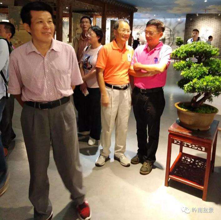 广东岭南盆景培训班赴如皋考察侧记