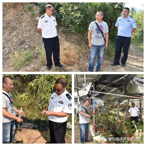 都匀90余株盆景被盗 总价值80余万元