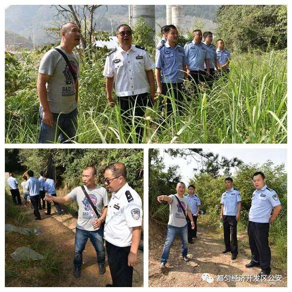 都匀90余株盆景被盗 总价值80余万元