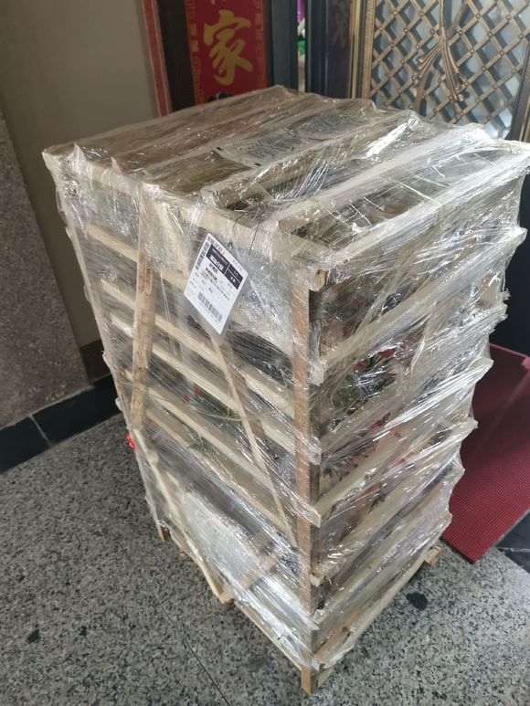 300元价格买的罗汉松盆景 贵么