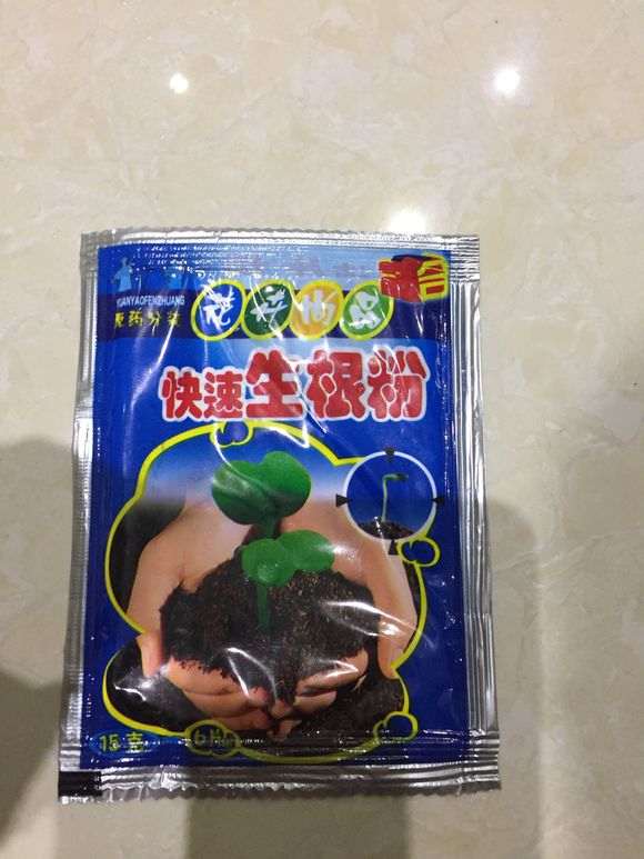 罗汉松盆景苗怎么用生根粉的方法