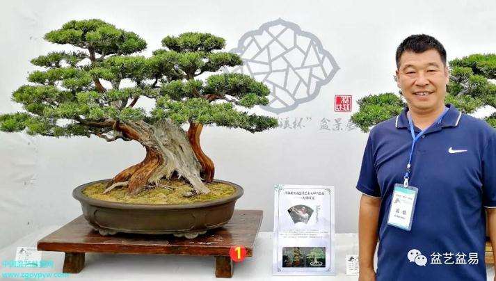 河南省首届盆景艺术大师作品展