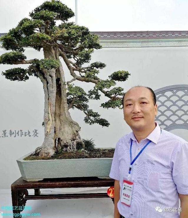 河南省首届盆景艺术大师作品展