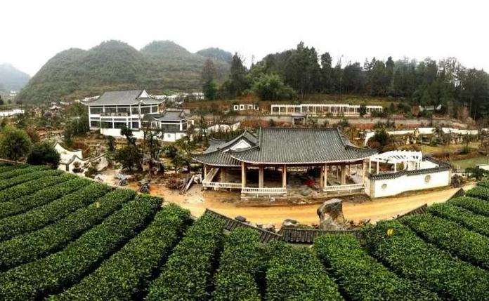 2019年遵义BCI国际盆景赏石大会