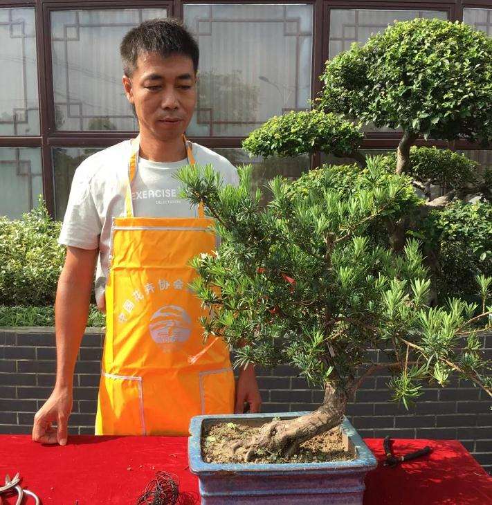 岭南盆景培训班赴如皋考察侧记