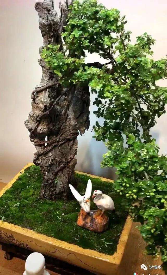 怎么制作附石铁包金盆景的方法