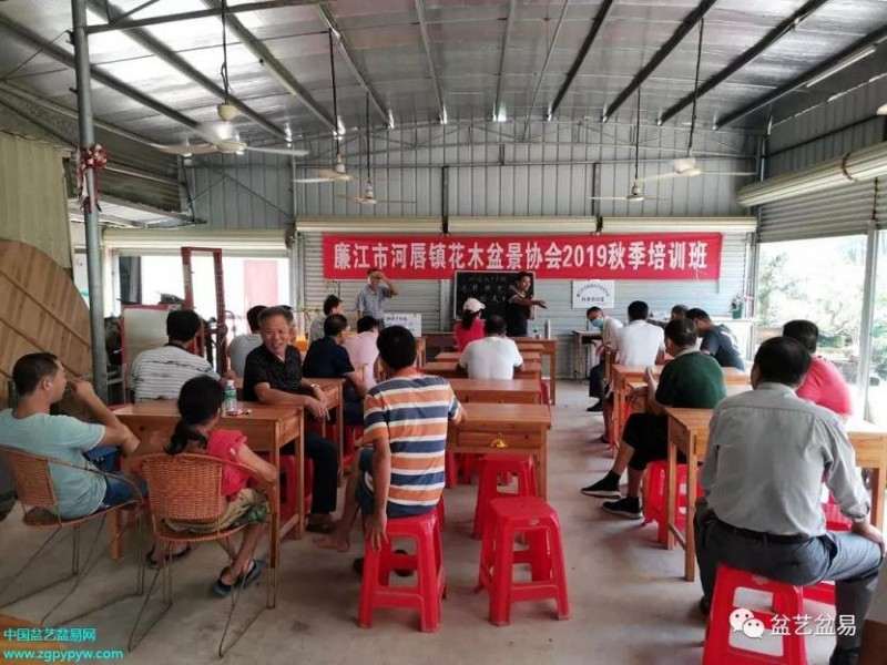 廉江市河唇镇花木盆景协培训班