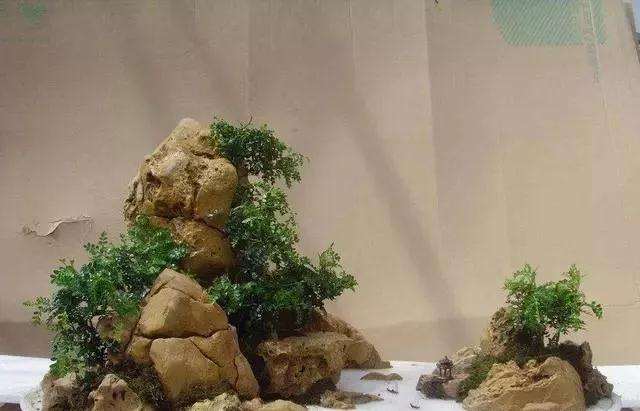 山水盆景怎么选盆与装饰摆件