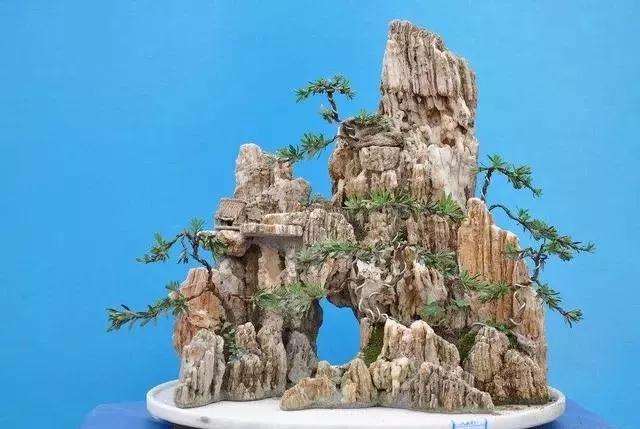 山石盆景怎么选石加工的方法