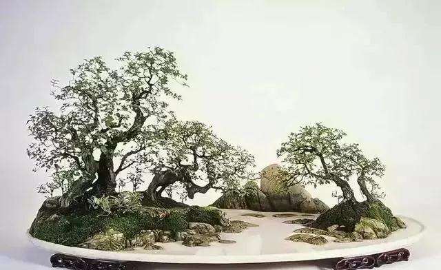 山石盆景怎么选石加工的方法