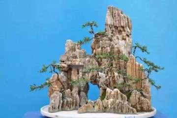 山石盆景怎么选石加工的方法