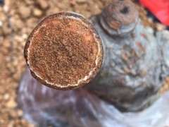 榆树下山桩是怎么了 跑浆了 还是愈合伤口