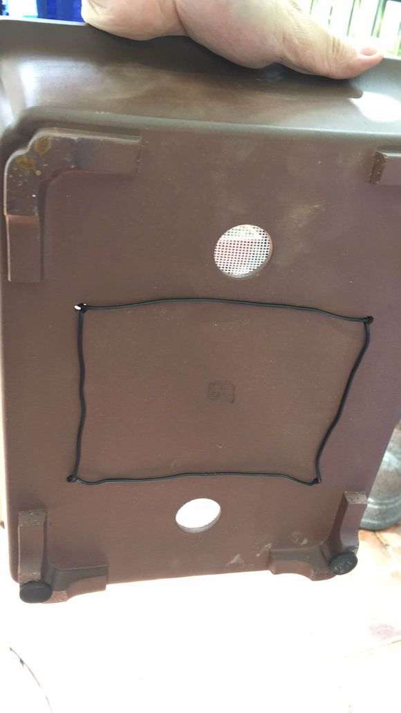 榔榆盆景怎么修剪换盆的方法