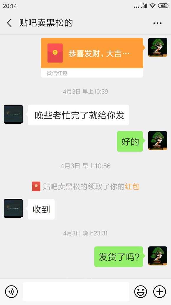 贴吧卖黑松盆景的骗子 大家小心