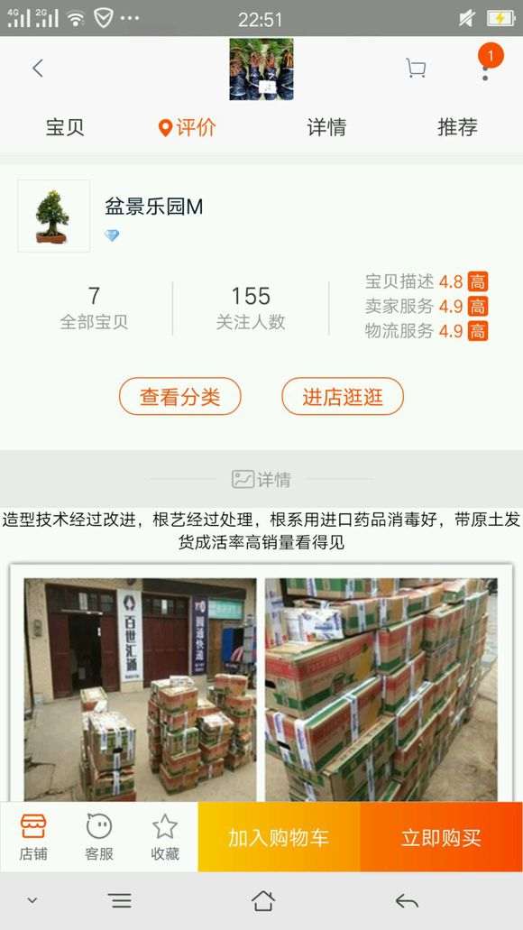 曝光一个卖提根黑松盆景大骗子