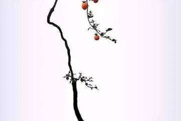 文人树盆景的文在那里 谁知道