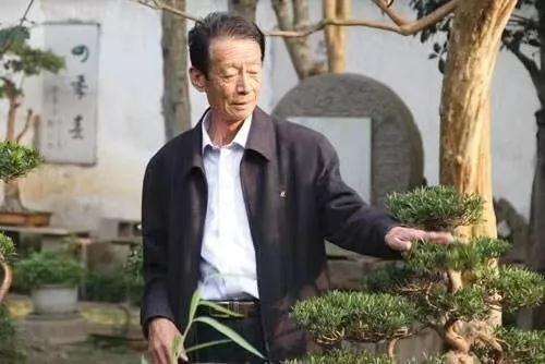是他把如派盆景推向了世界