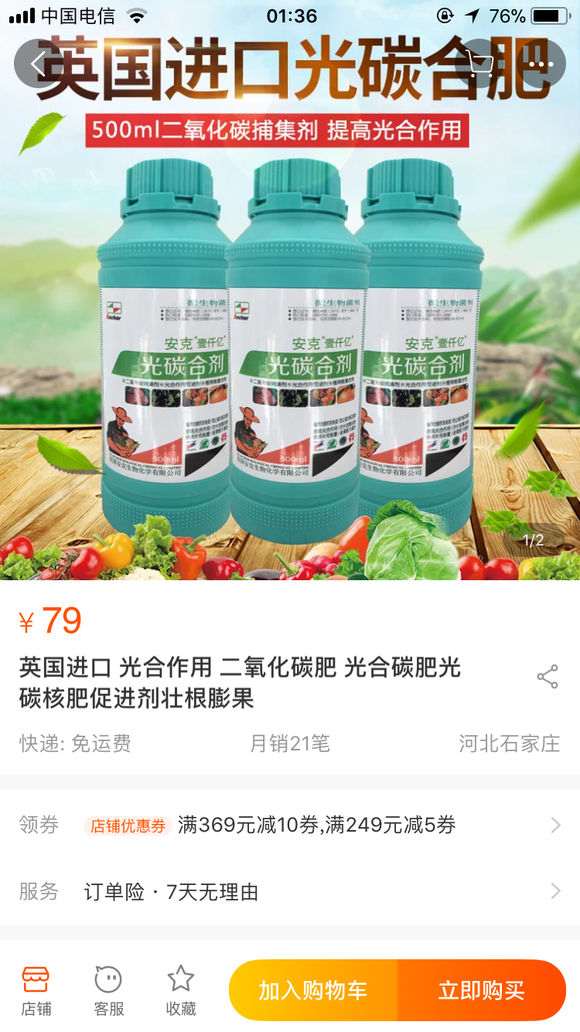 为什么室内环境不适合黑松盆景生长