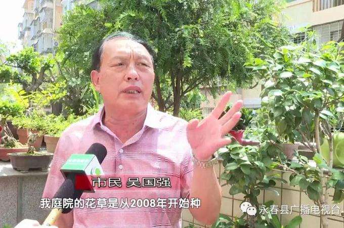 在阳台上种植盆景效果很好