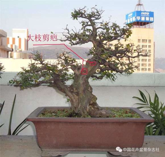 2015年以《村头》为题名参加温州泰顺艺术展