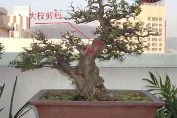 2015年以《村头》为题名参加温州泰顺艺术展