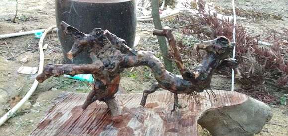 这个雀梅下山桩