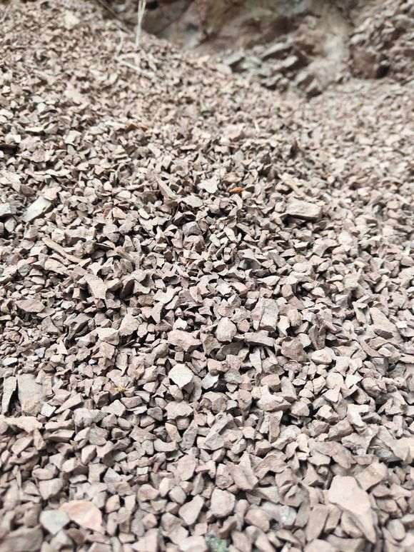 这土壤可以用来种雀梅下山桩吗