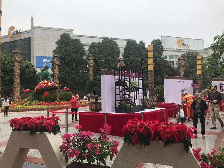 九龙广场开展精品盆景插花艺术展