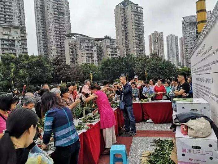 九龙广场开展精品盆景插花艺术展