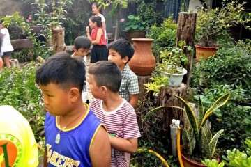 对虞城县城一个美丽盆景庭院户的采访