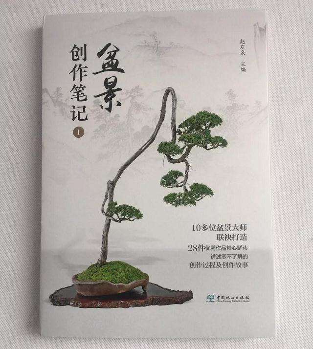 赵庆泉老师的新书《盆景创作笔记》