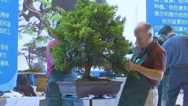 2019年 中外盆景艺术大师现场制作盆景