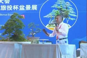 2019年 中外盆景艺术大师现场制作盆景