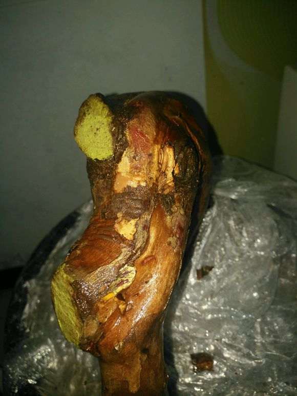 雀梅下山桩纯河沙栽了