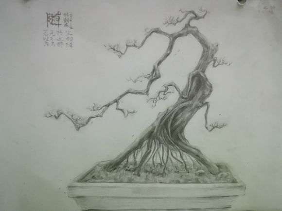挺喜欢这个雀梅下山桩 上画 名为《随》