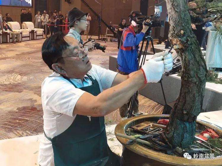 遵义2019世界盆景赏石大会现场制作篇