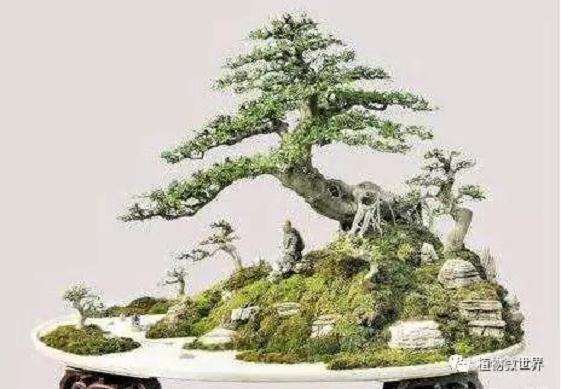 怎么制作山水盆景的3个方法